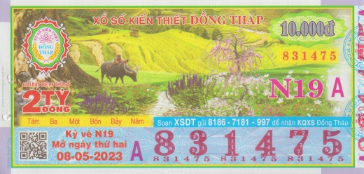 xsmn-dt