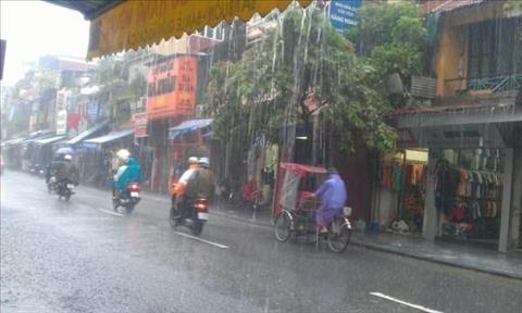 Con bé bán vé số và gã giang hồ hình ảnh Con be ban ve so va ga giang ho hinh anh
